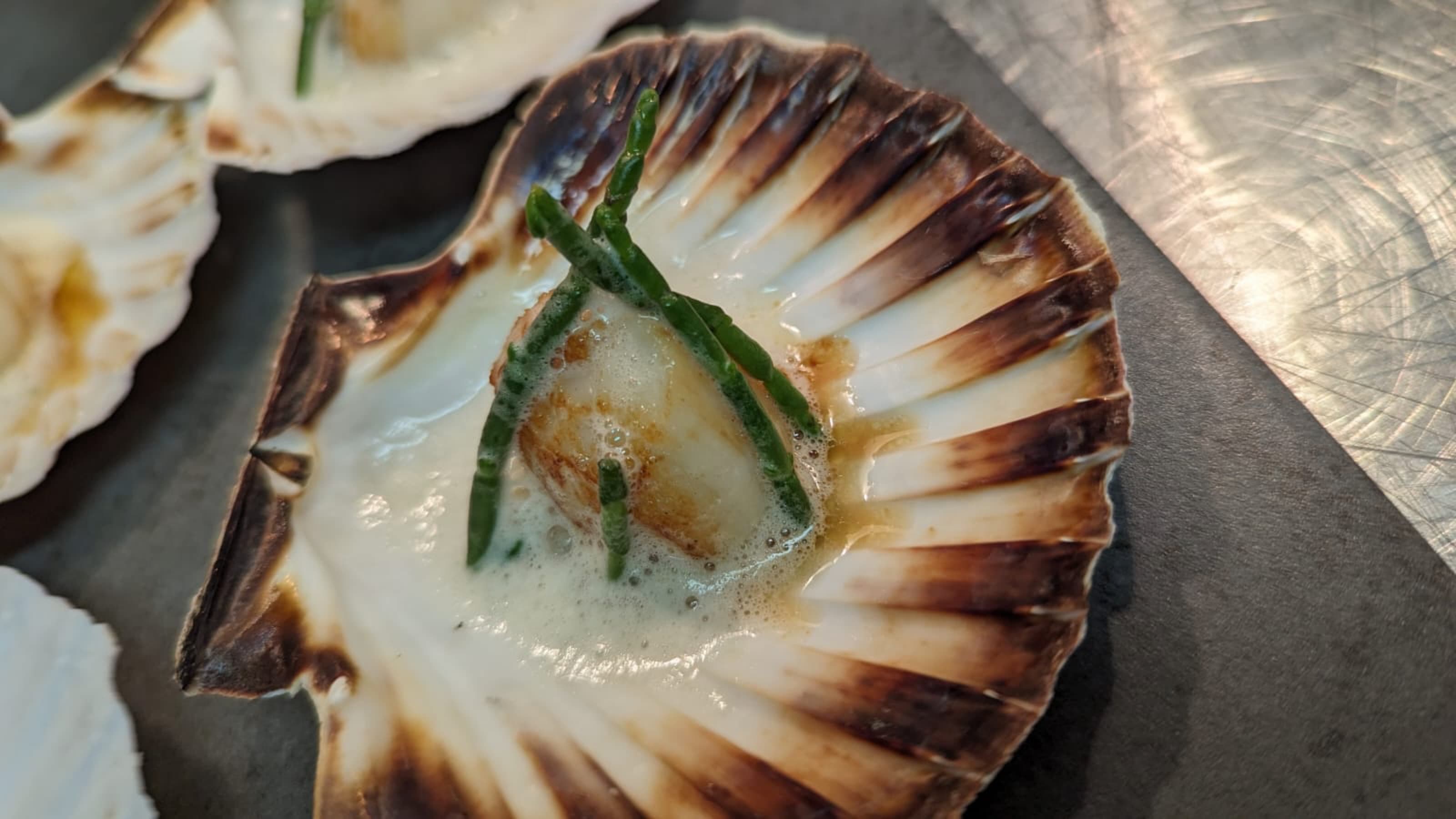 Scallop, Raw — shell · samphire