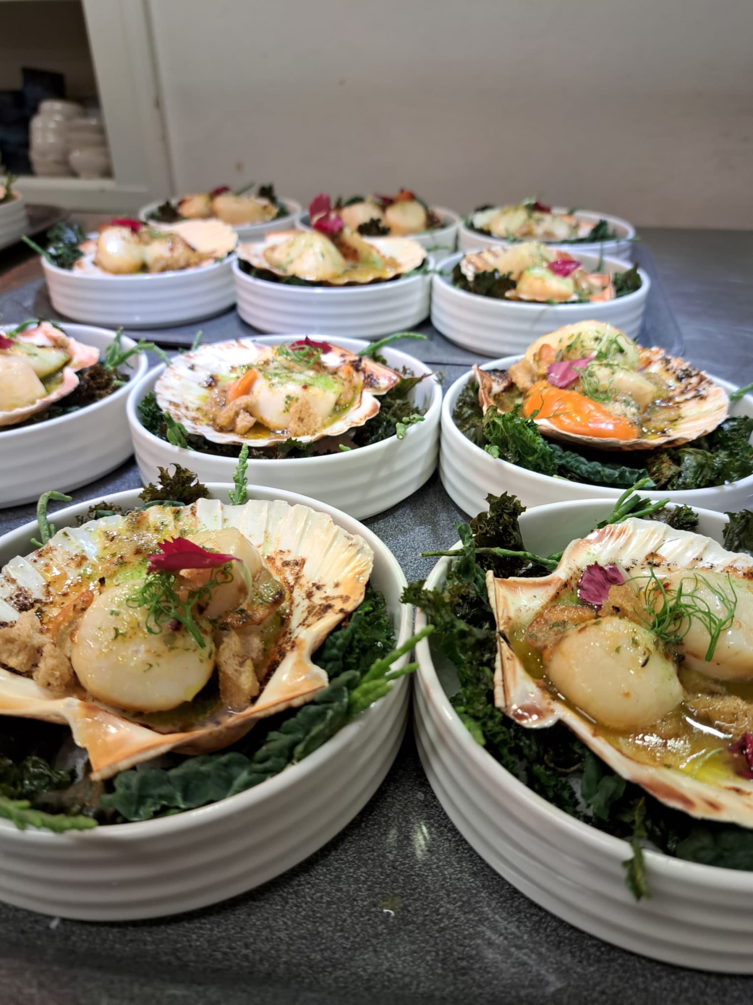 Scallops, in Rows — shells · service