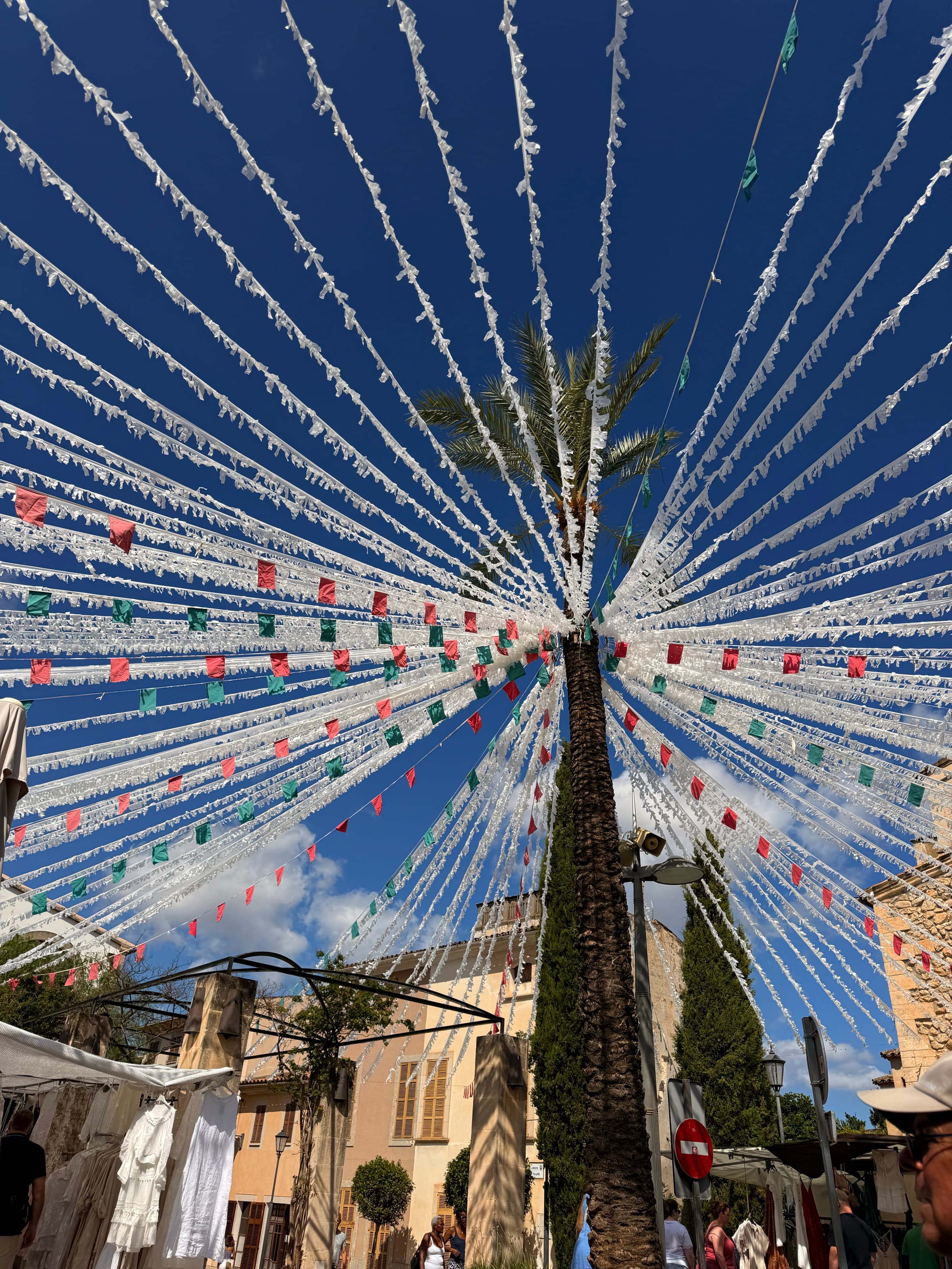 Fiesta — streamers · palm