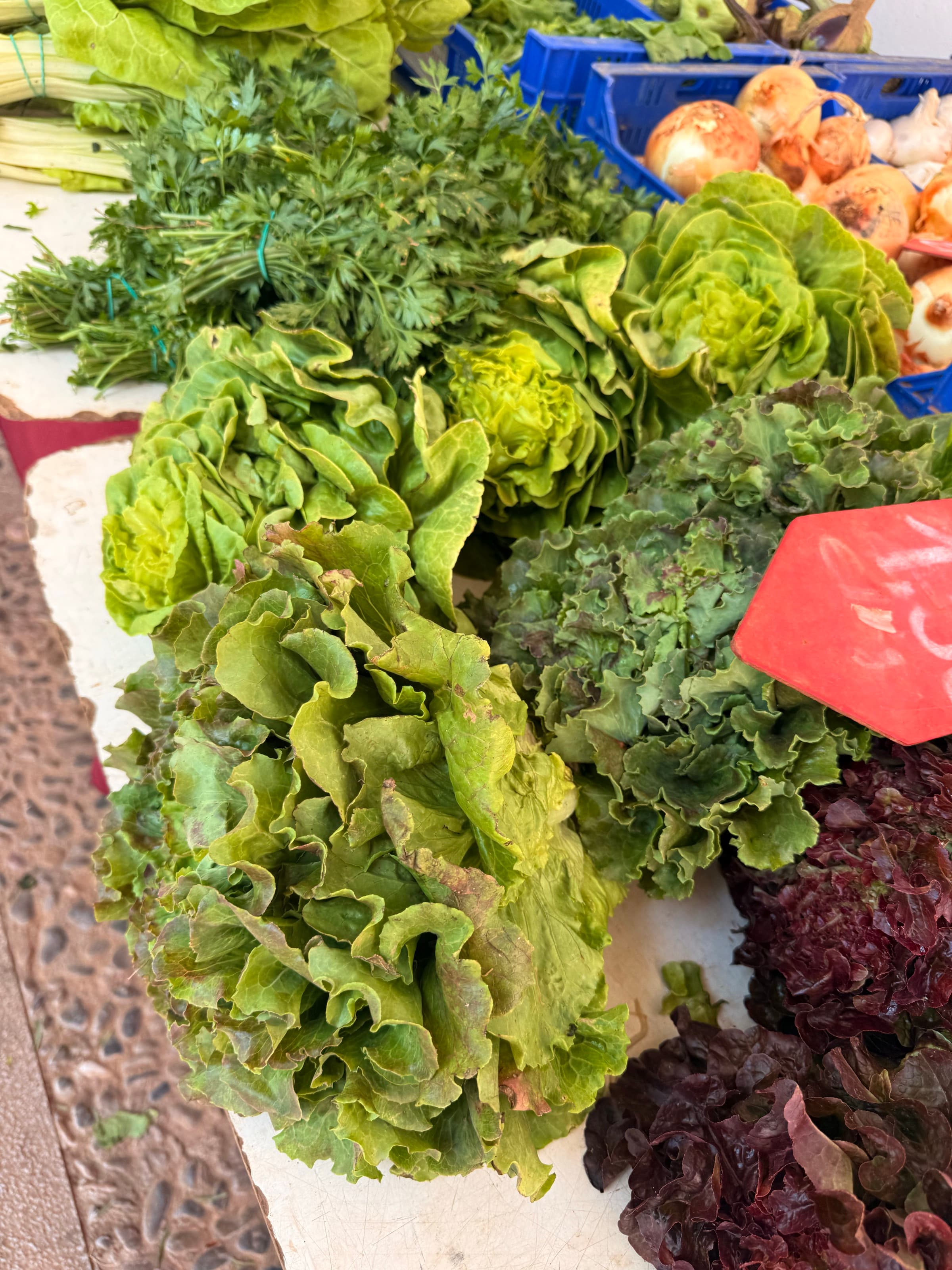 Lettuces I — market · morning
