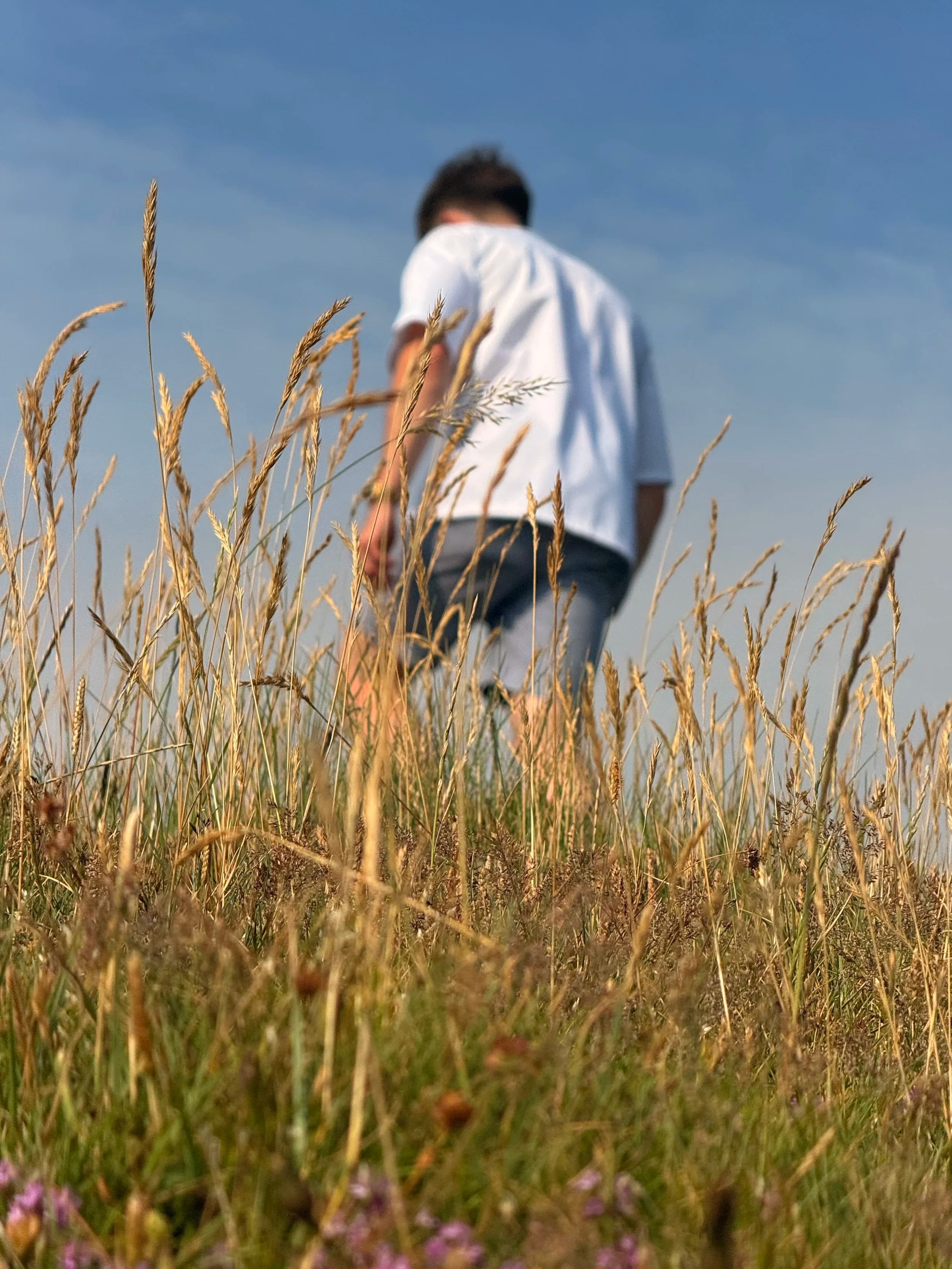 Open grassland under a wide sky